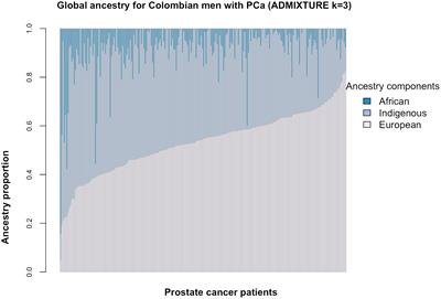 Genetic ancestry and radical prostatectomy findings in Hispanic/Latino patients